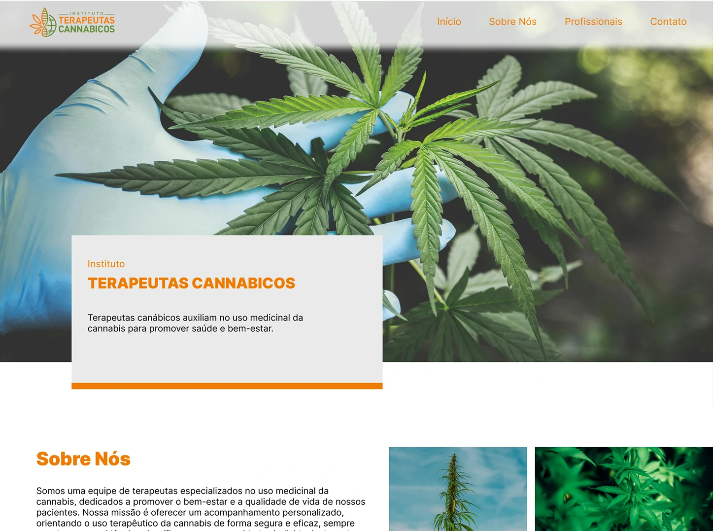 Terapeutas Cannabicos